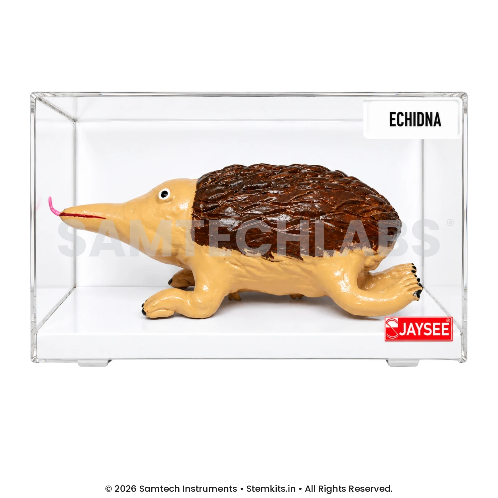 Echidna Model manufacturer in India