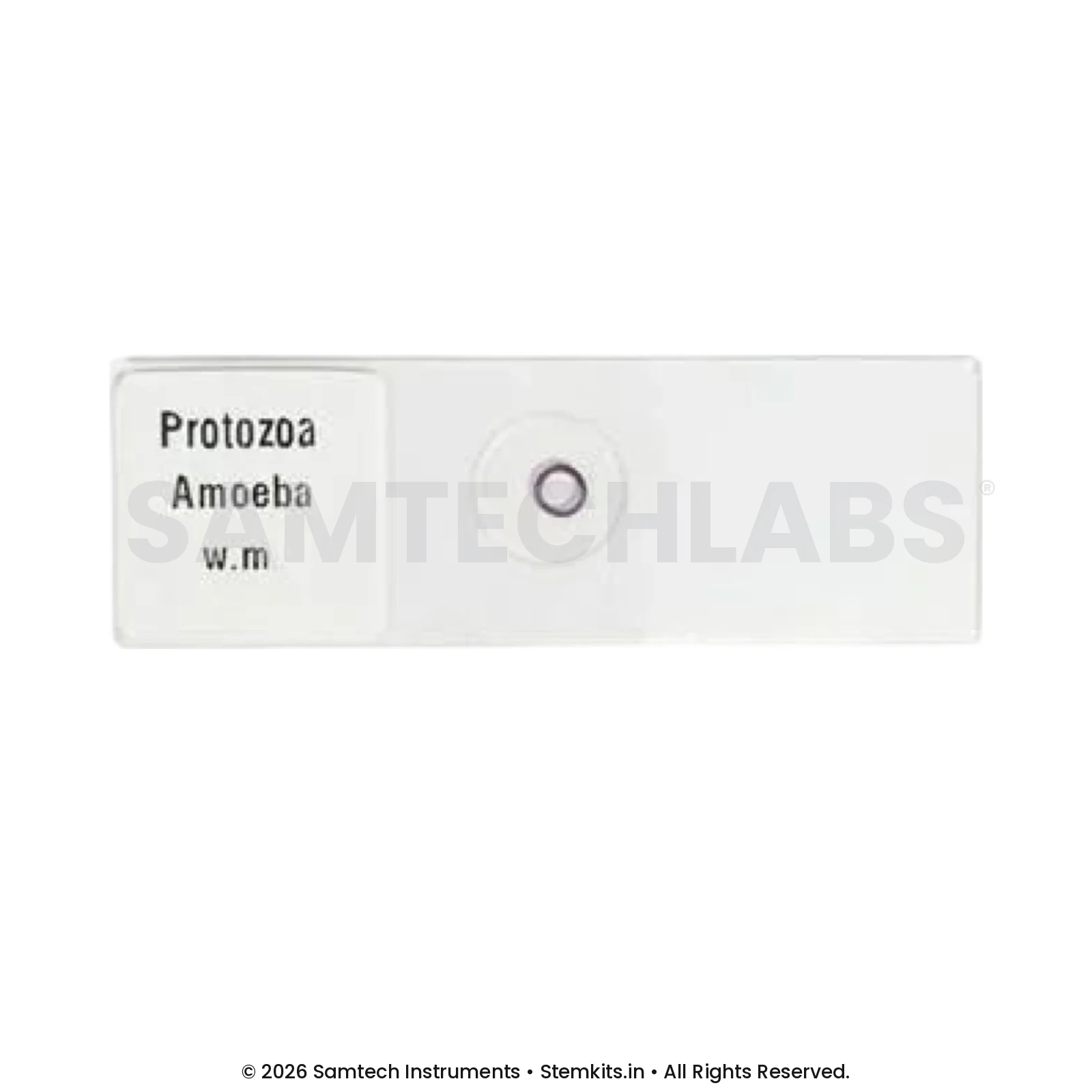 Amoeba Slide manufacturer in India