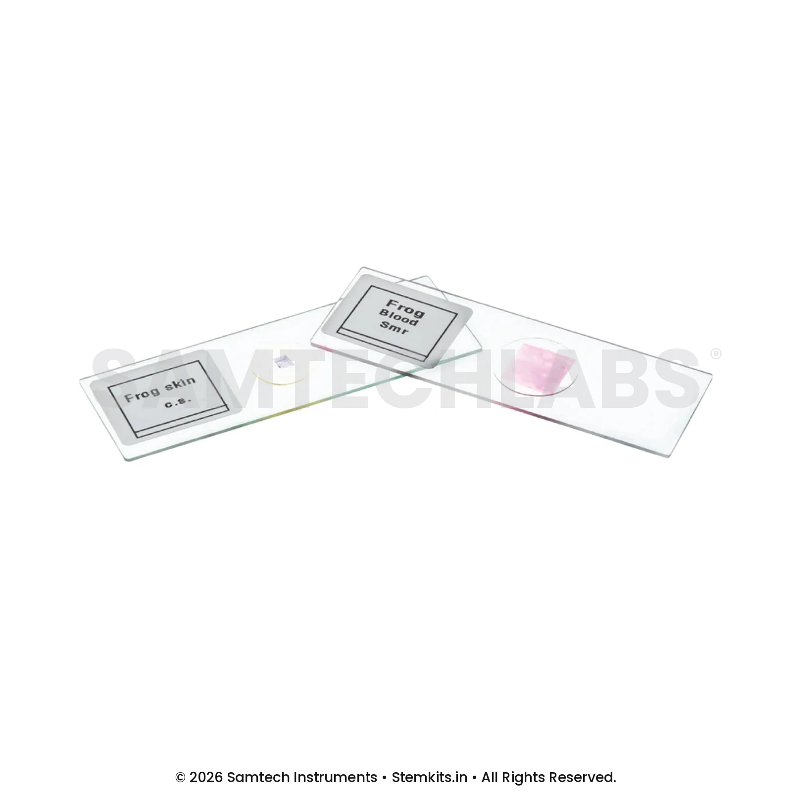 Plant Tissue Slide manufacturer in India