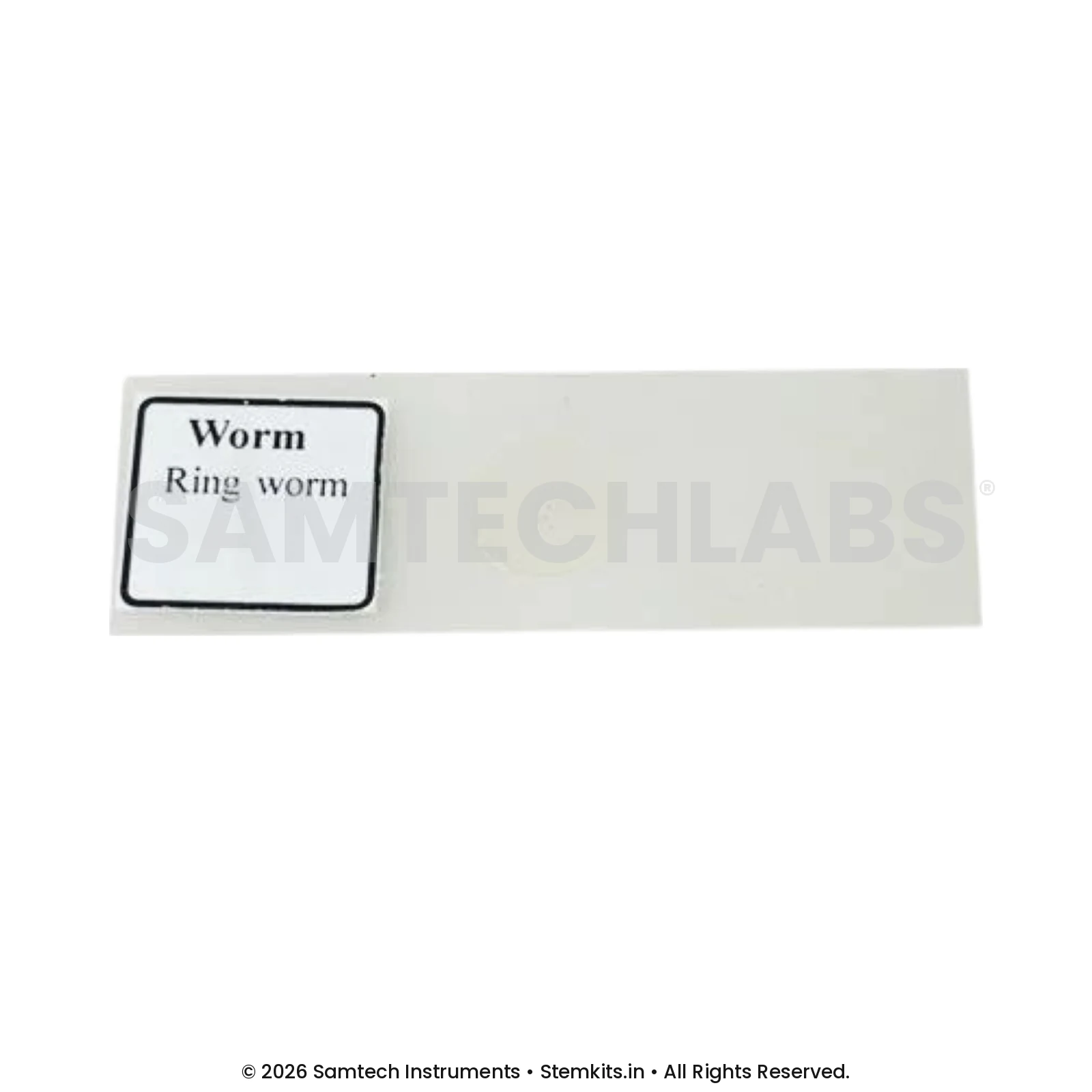 Ringworm Slide manufacturer in India