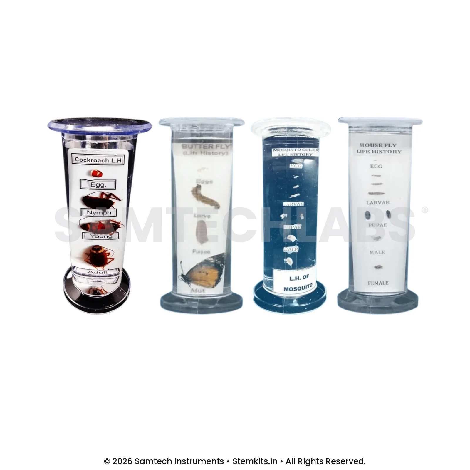 Life History of Specimens manufacturer in India