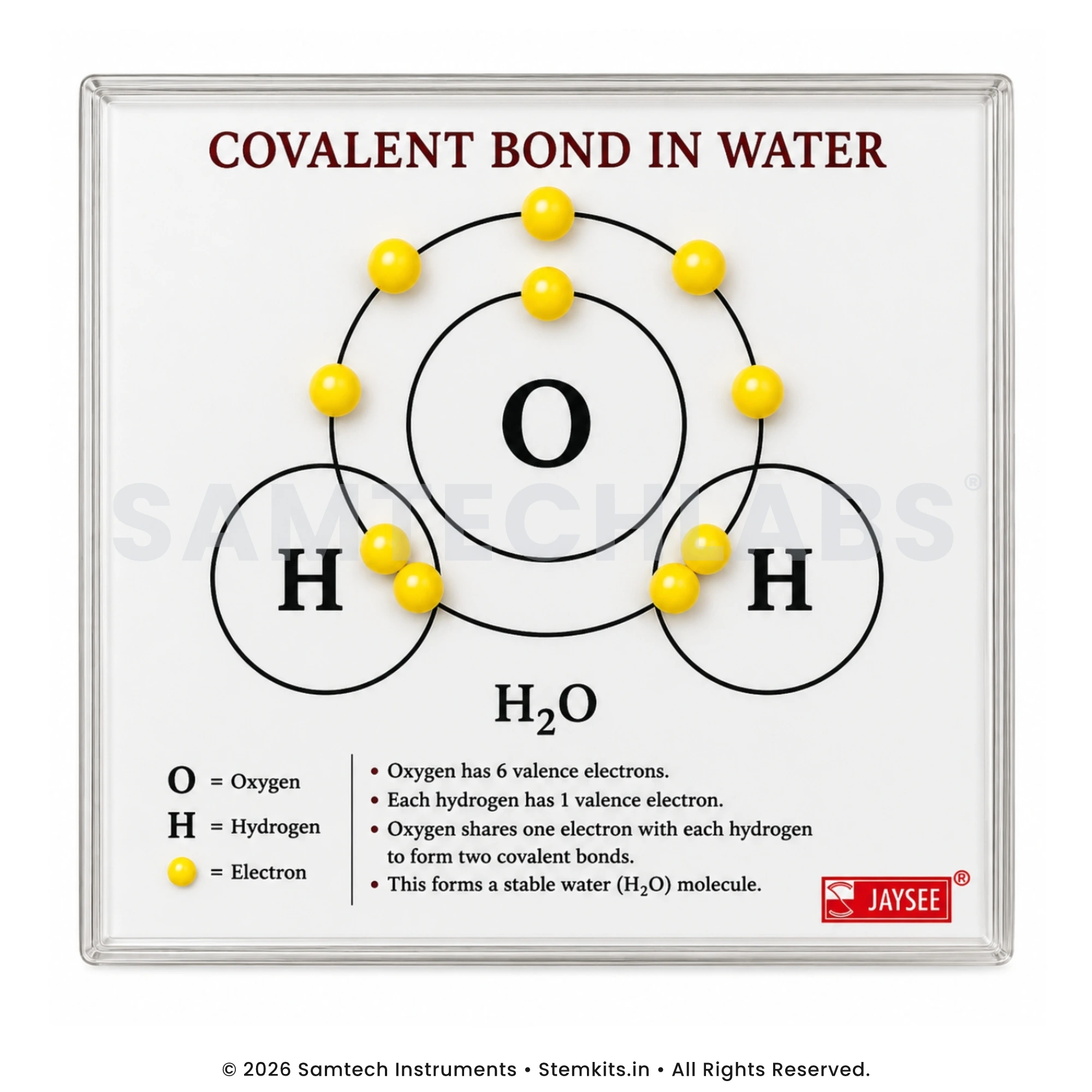 Covalent Bond in Water Model manufacturer in India