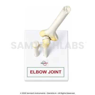 Elbow Joint Model manufacturer in India