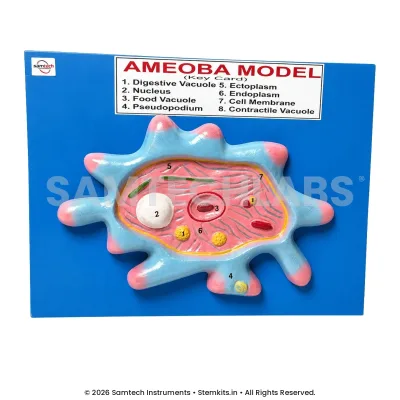Amoeba Model manufacturer in India