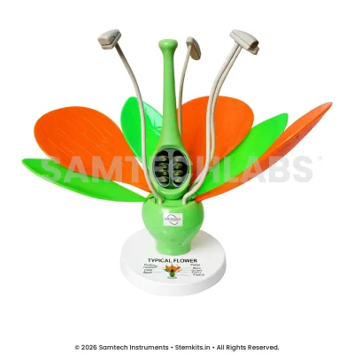 Typical Flower Model manufacturer in India