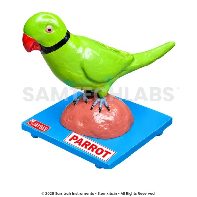 Parrot Model manufacturer in India