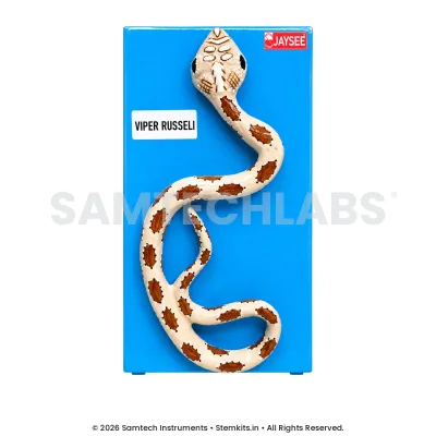 Russell's Viper Model manufacturer in India