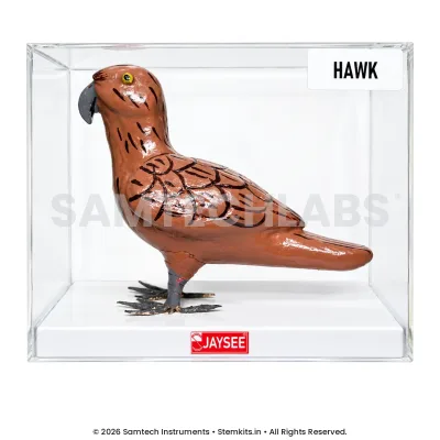 Hawk Model manufacturer in India