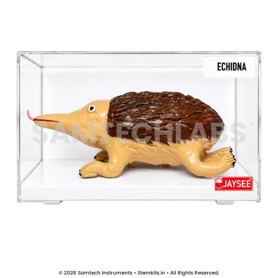 Echidna Model manufacturer in India