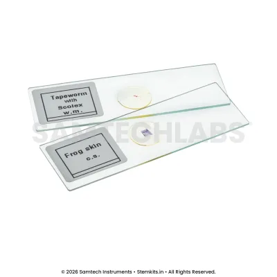 Animal Tissue Slide