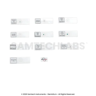 Prepared Slides (Set of 10)