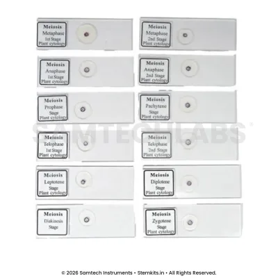 Slide Meiosis (Set of 12) manufacturer in India