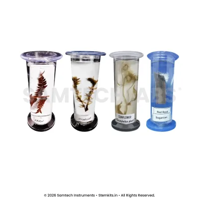 Botany Specimens (Common)