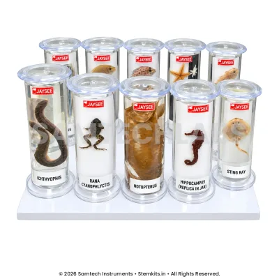 Zoology Specimens (Common) manufacturer in India