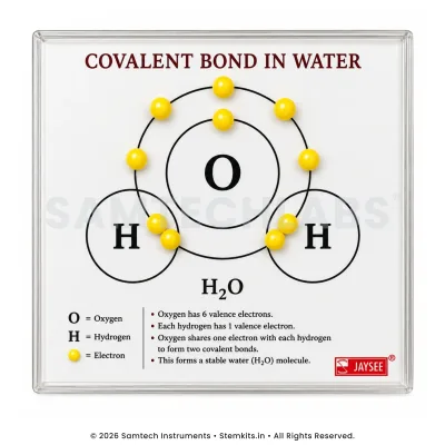 Covalent Bond in Water Model