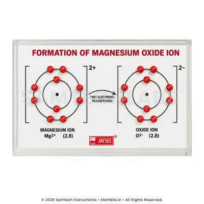 Formation of Magnesium Oxide Ion Model manufacturer in India
