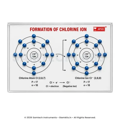 Formation of Chlorine Ion Model manufacturer in India