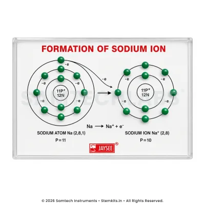 Formation of Sodium Ion Model manufacturer in India