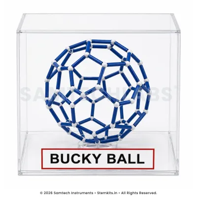 Bucky Ball Model