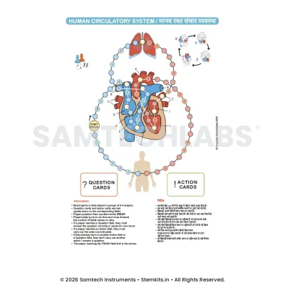 Human Circulatory System Game (Set of 25) manufacturer in India