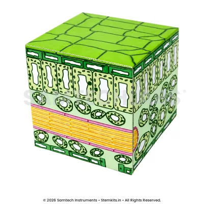 Leaf Cube Model (Set of 50) manufacturer in India