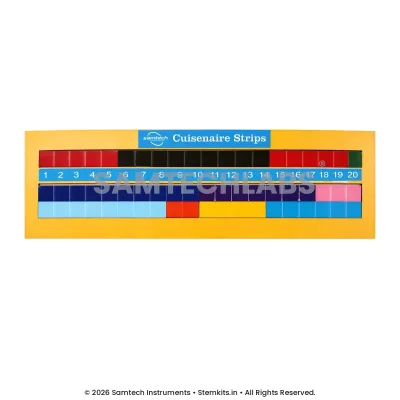 Cuisenaire Strips Model manufacturer in India